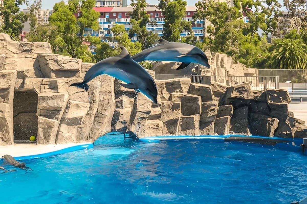 Batumi Dolphinarium