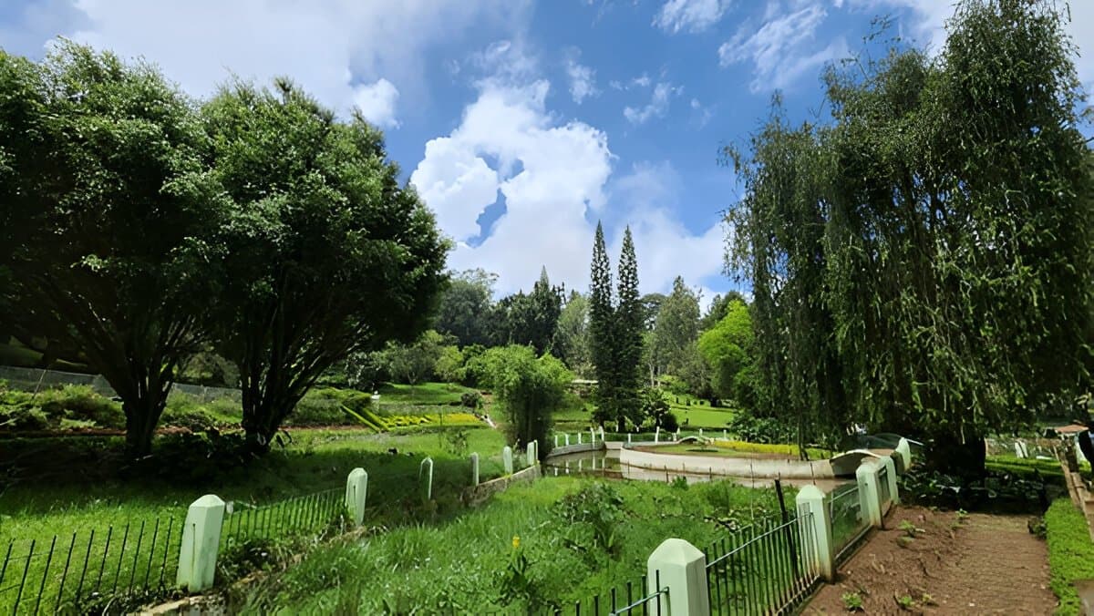 Sims Park