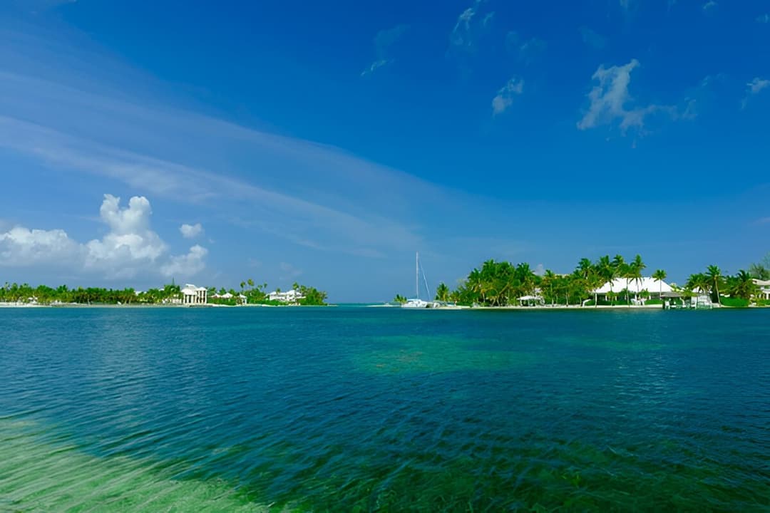 Bioluminescent Lagoon