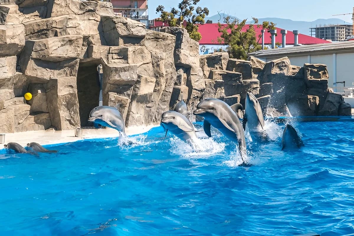 Batumi Dolphinarium