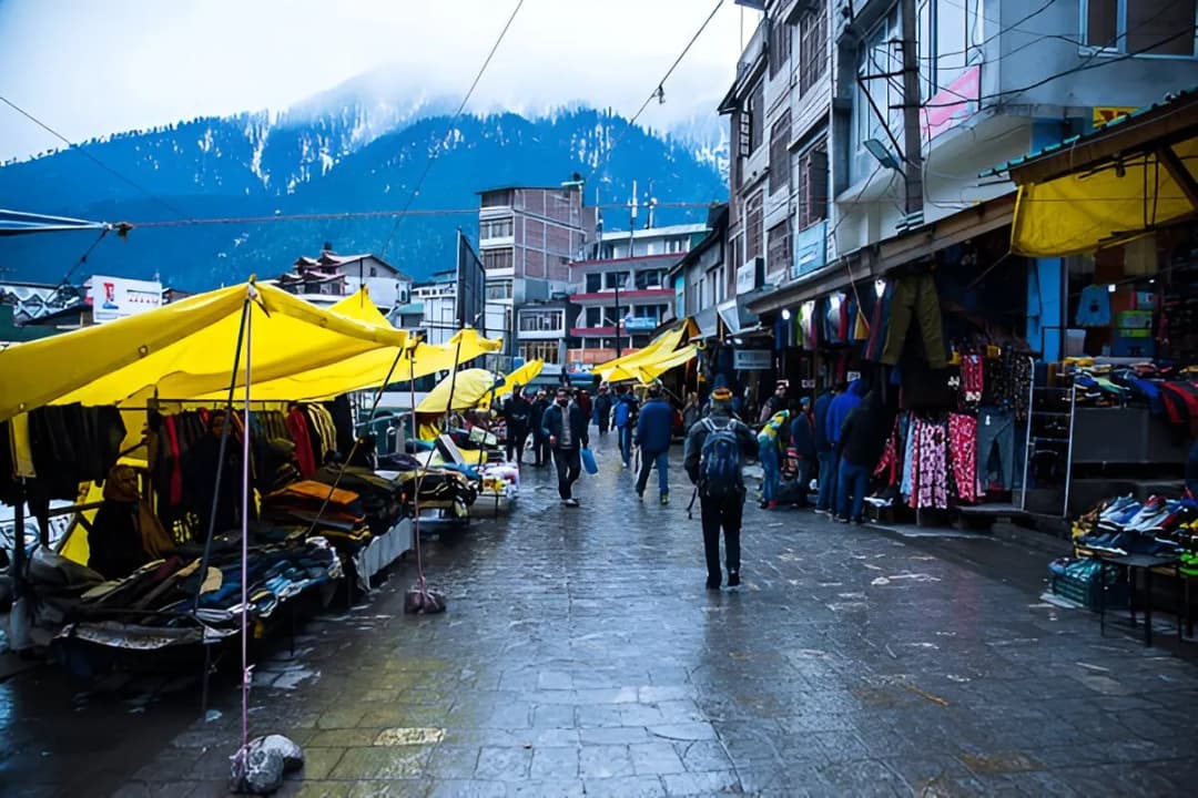 Local Handicraft Shops