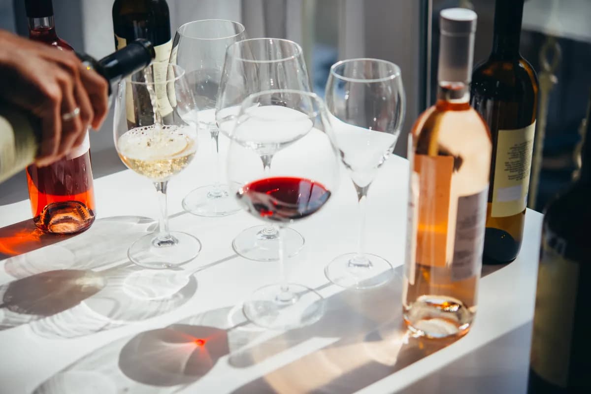 Wine Tasting in North Georgia