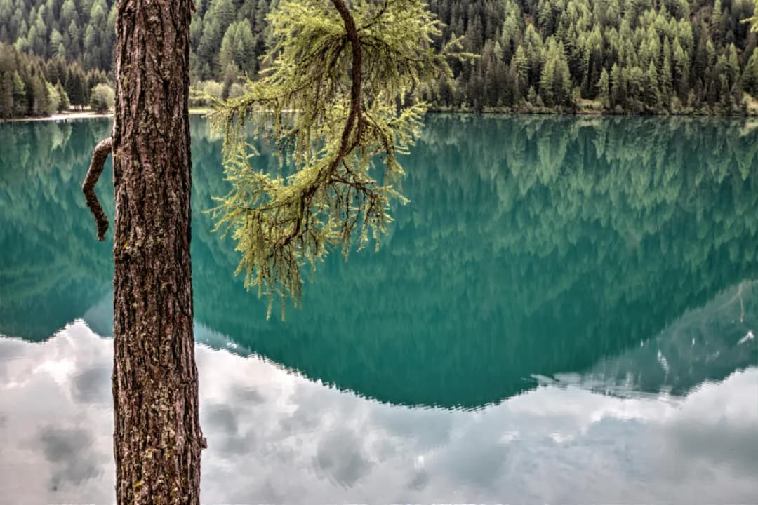 Blausee Lake
