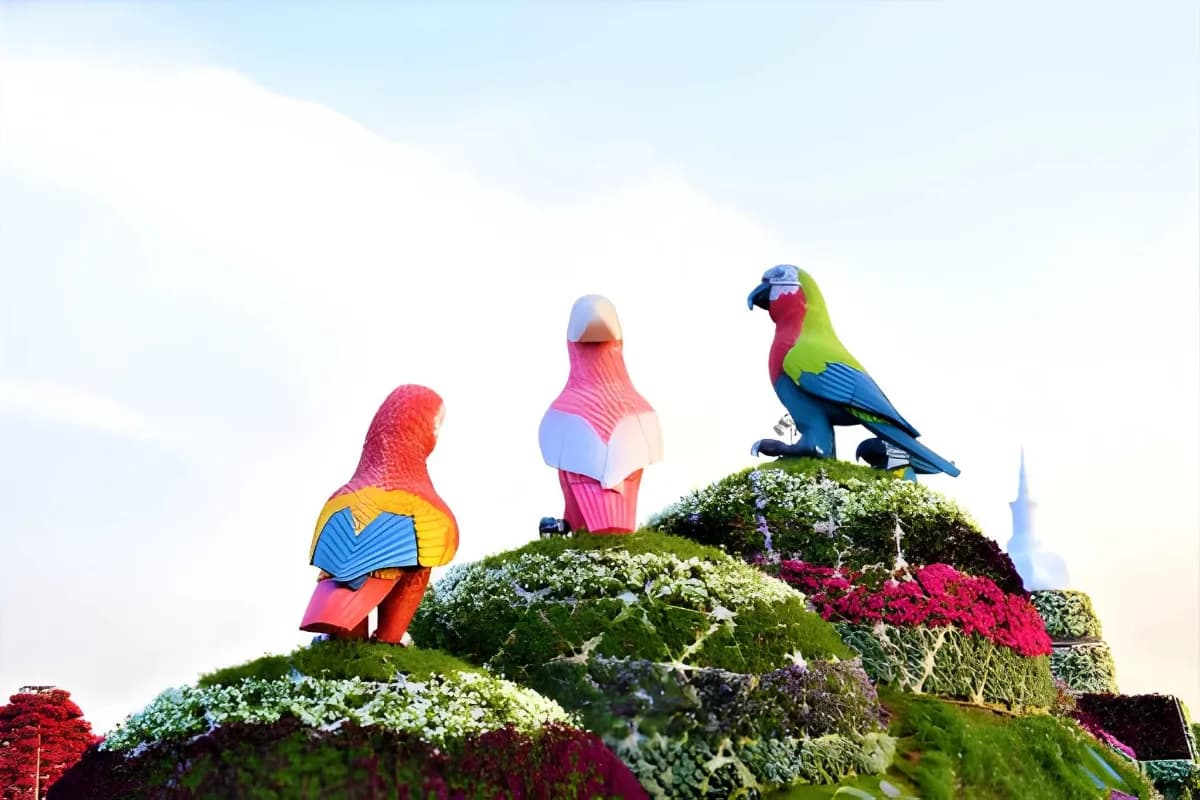 Dubai Miracle Garden