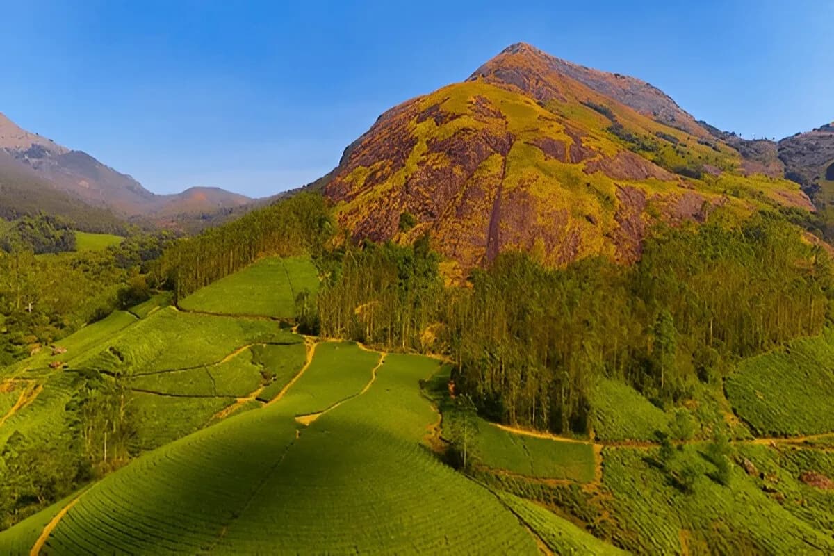 Munnar Hill Station