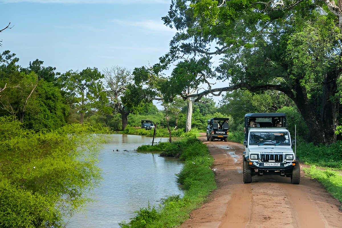 Yala National Park