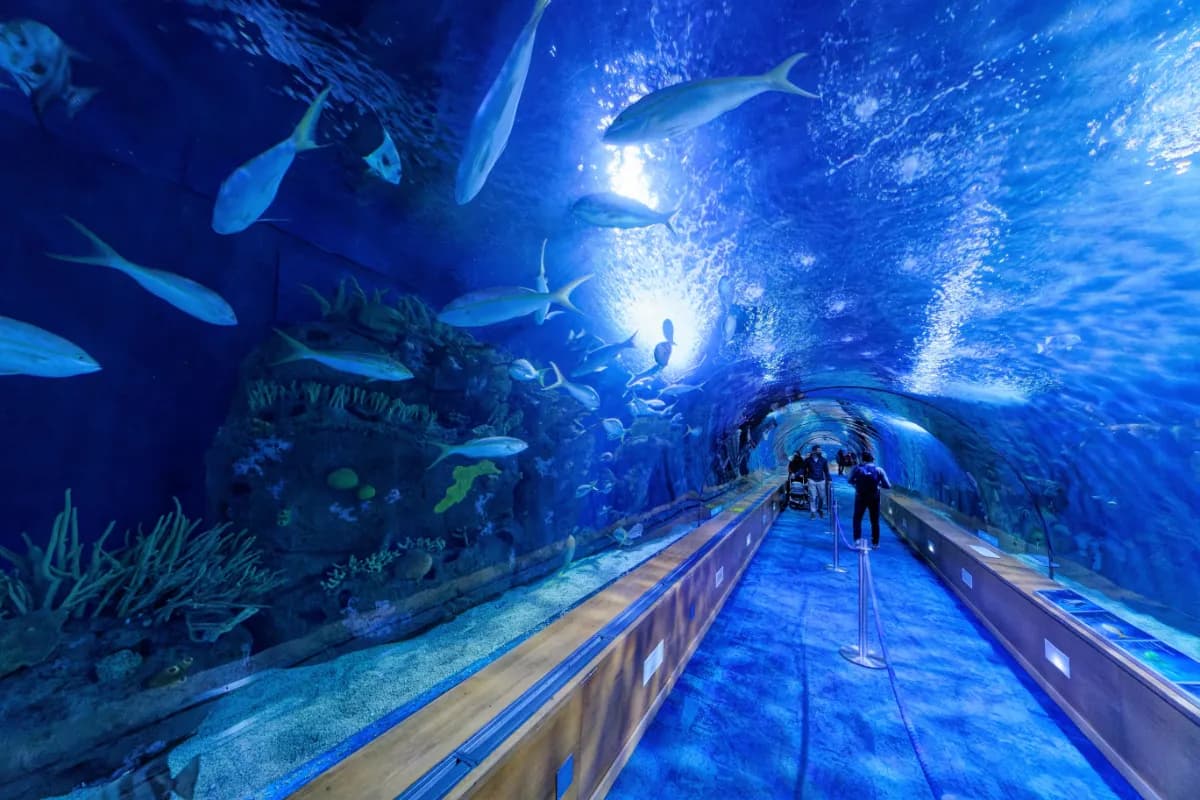 Dubai Aquarium & Underwater Zoo