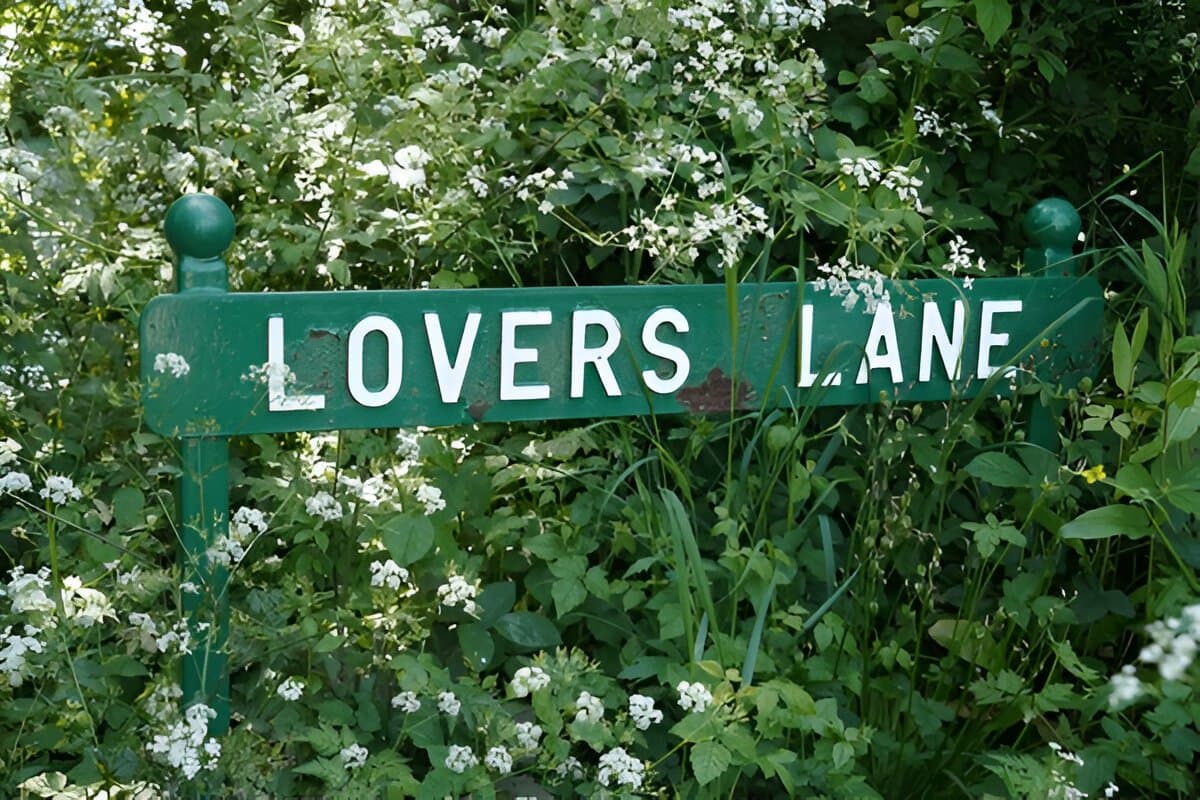 Lovers Lane, Kasauli