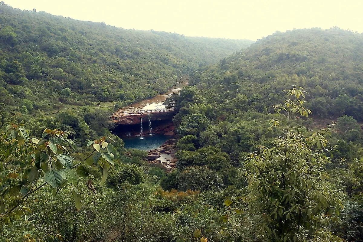 Krang Suri Falls Surrounded by forest