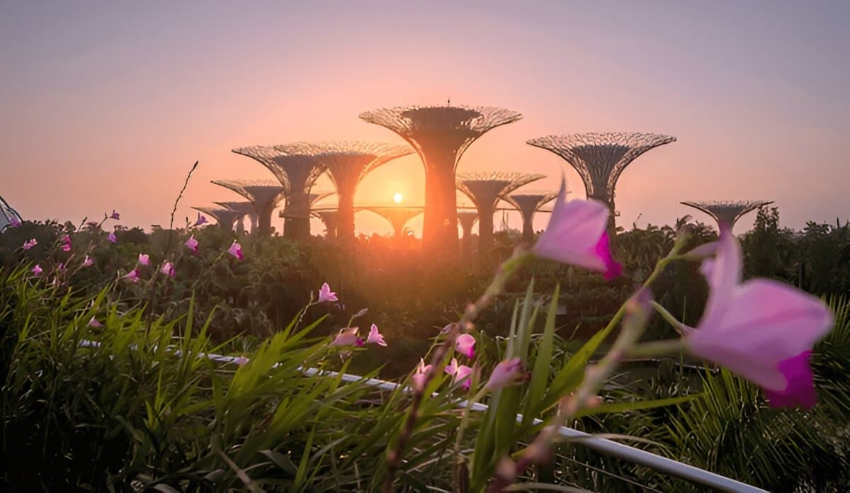  Vibrant Singapore Vibes