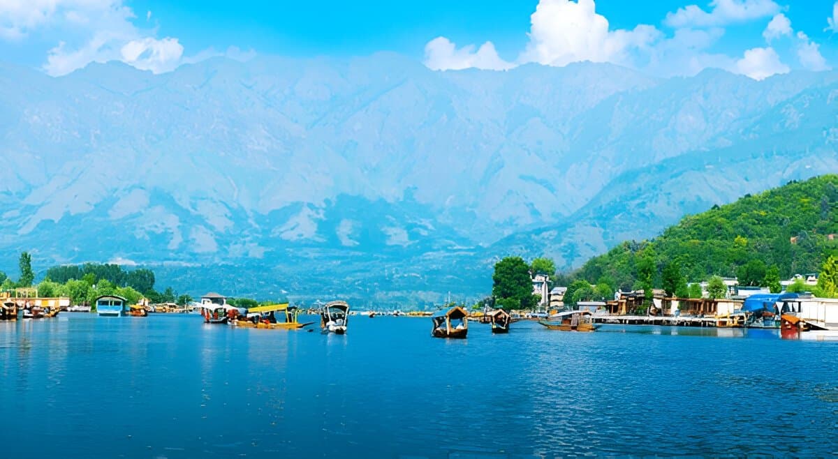 Kashmir 