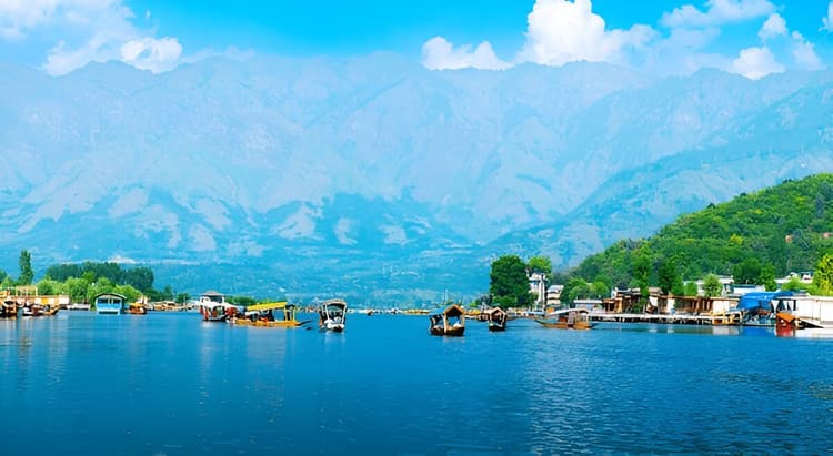 Kashmir 