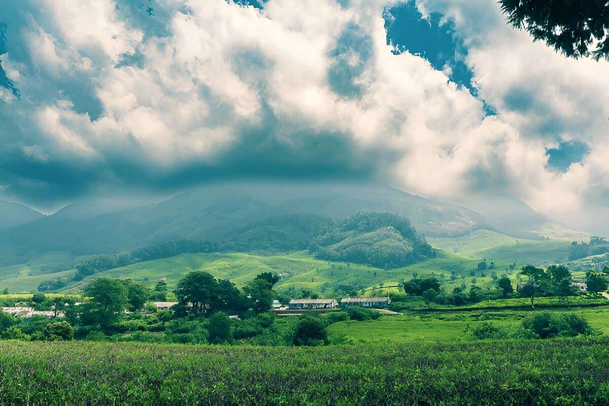 Essence of Assam & Meghalaya