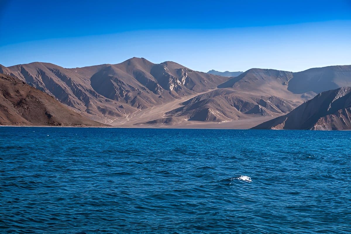 LEH-TURTUK-LEH