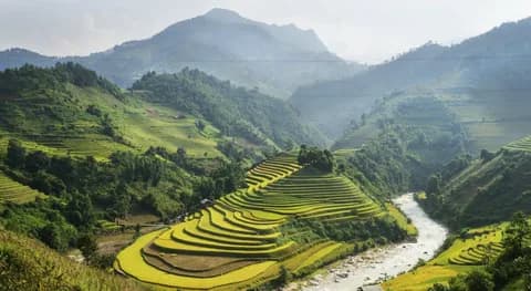 Vietnam Classic
