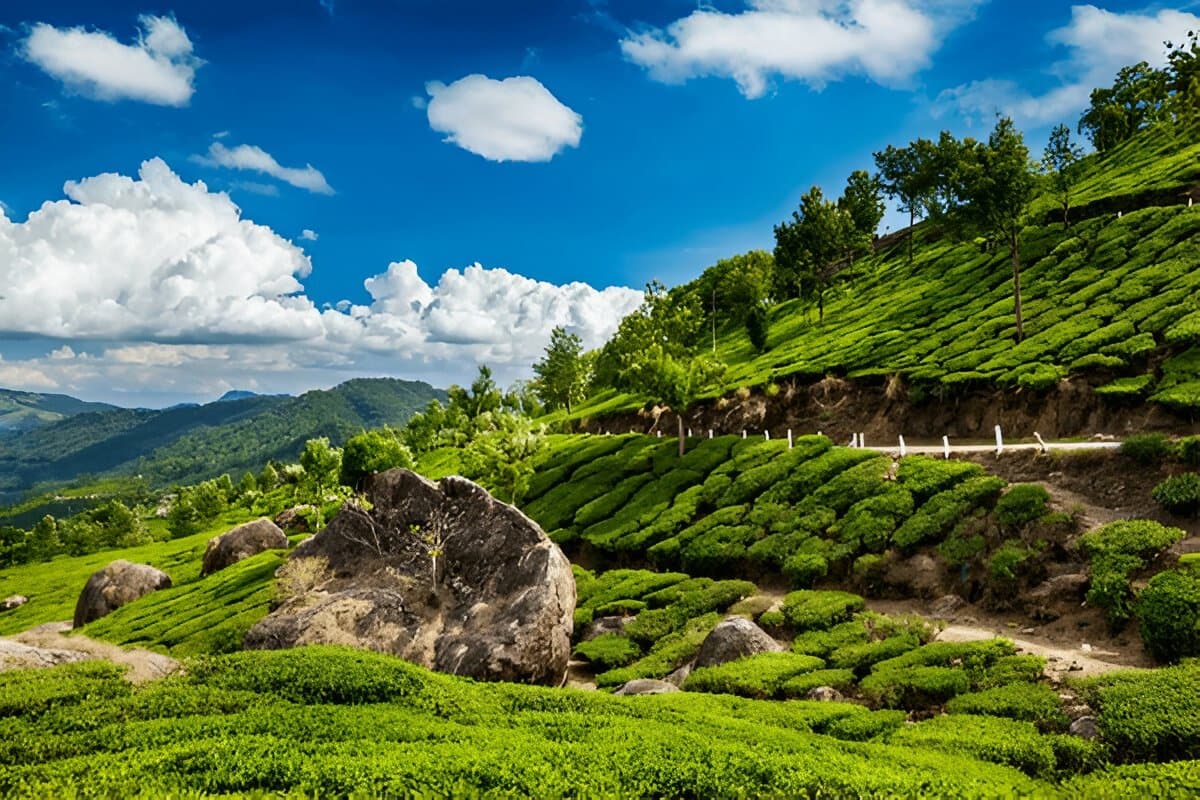 Kerala