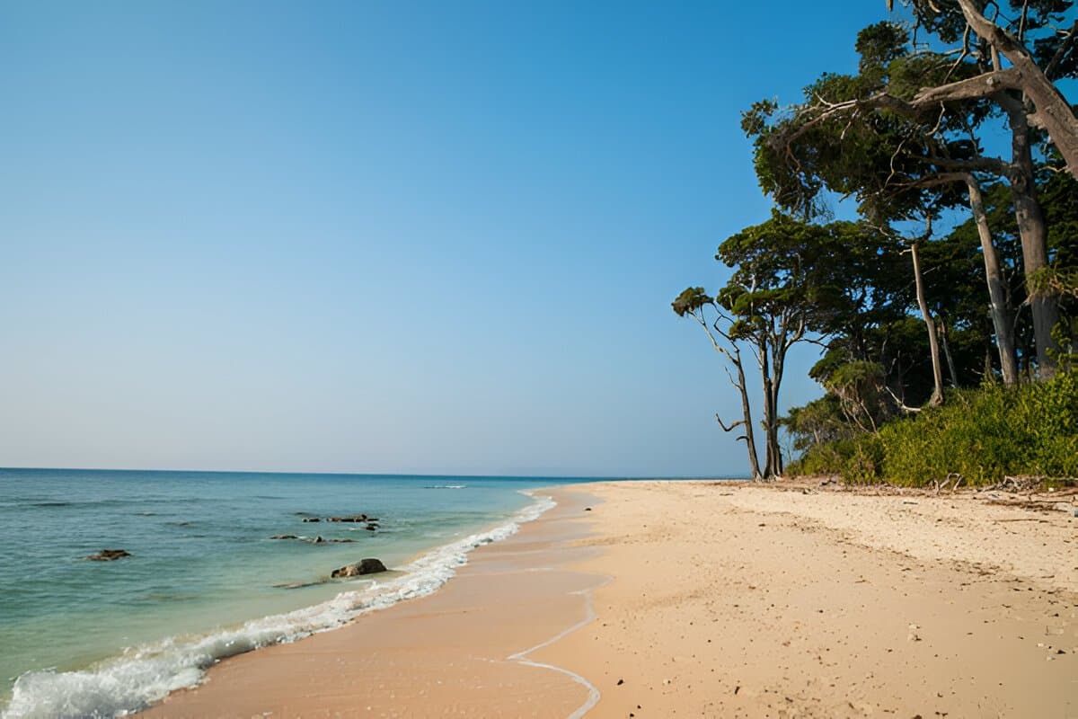 Laxmanpur Beach