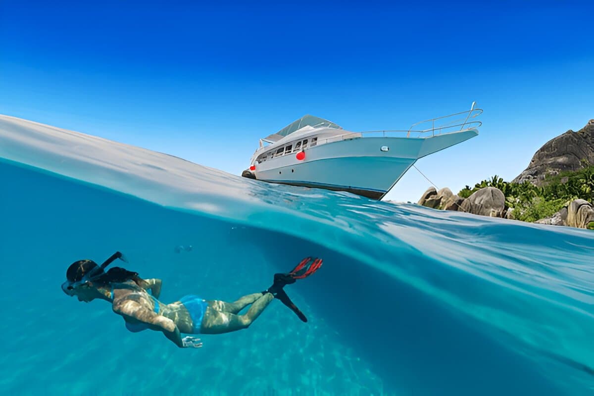  Snorkel Safari