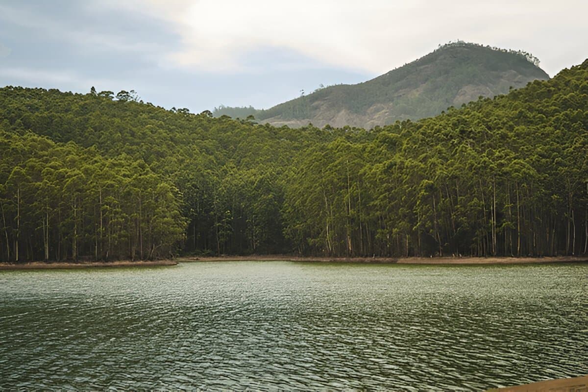 Hills of Kerala