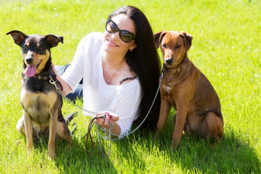 Pet-Friendly Hotels in Siliguri: A Perfect Stay for You and Your Pet