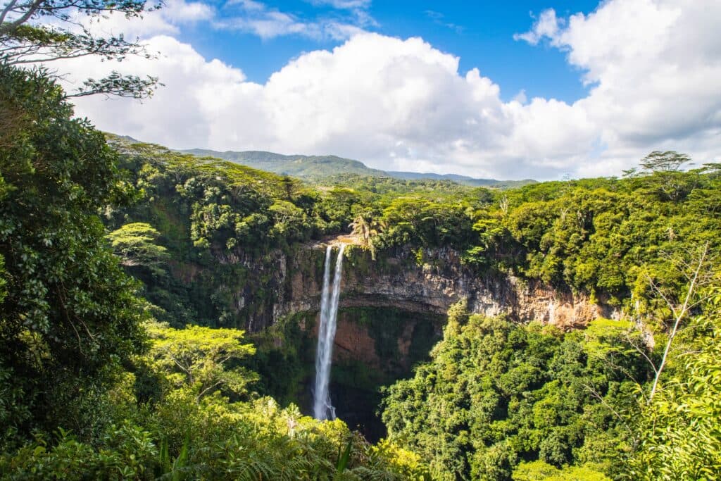 Step into the Amazon Rainforest Tours for an Epic Adventure