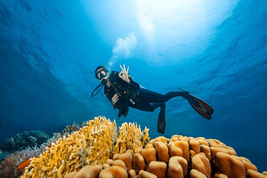 Scuba Diving at Kalpeni Island