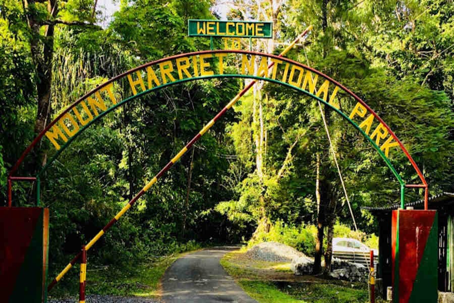 places to visit in Andaman​ - Mount Harriet National Park