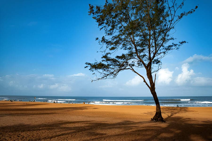 Parasailing At Calangute Beach
