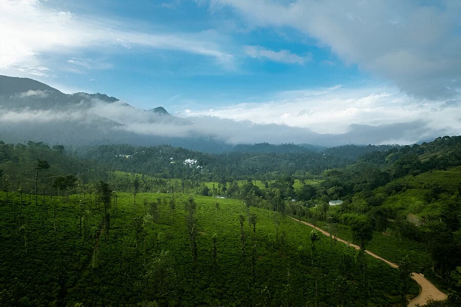 Wayanad