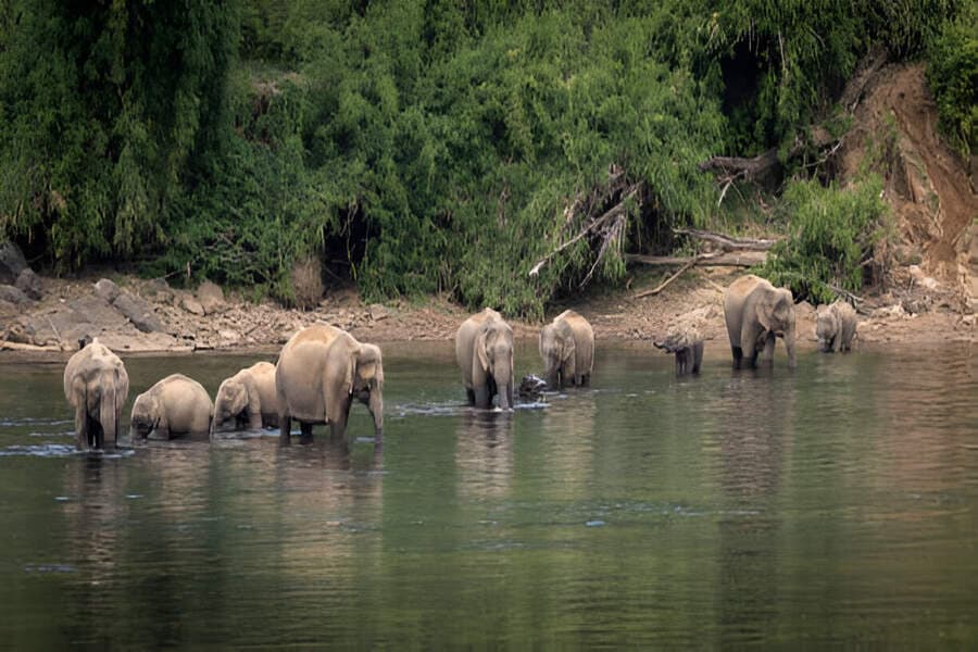 Elephant View Point, Anakulam
