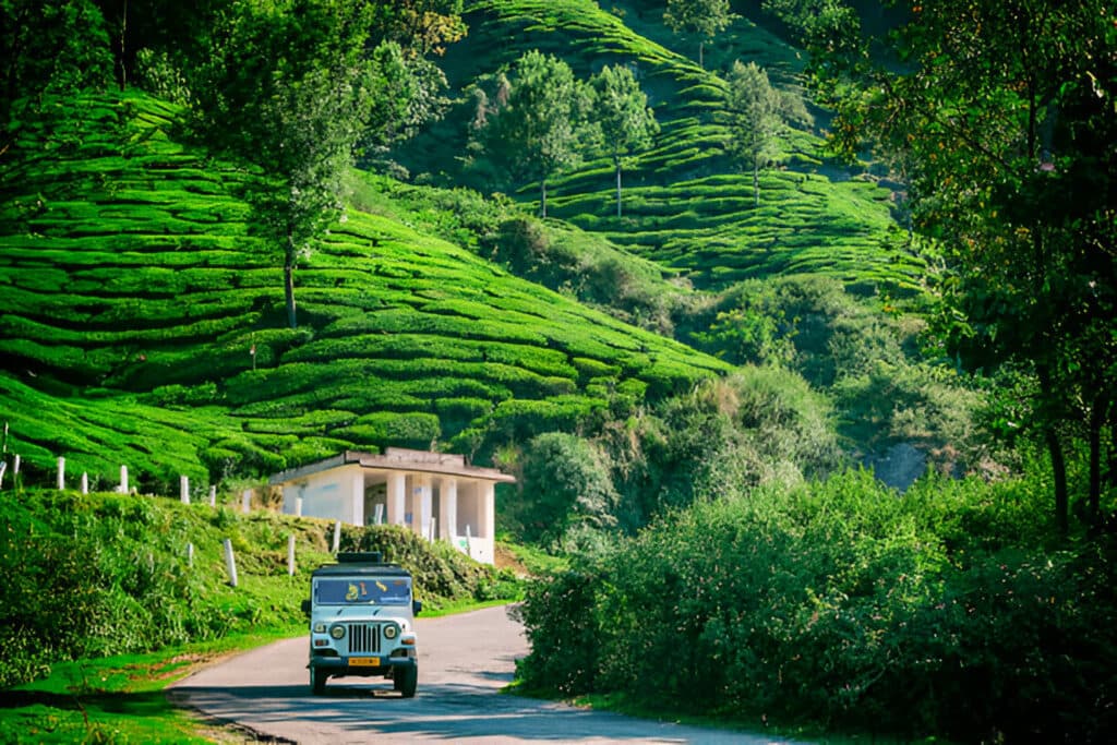 Things To Do In Kerala