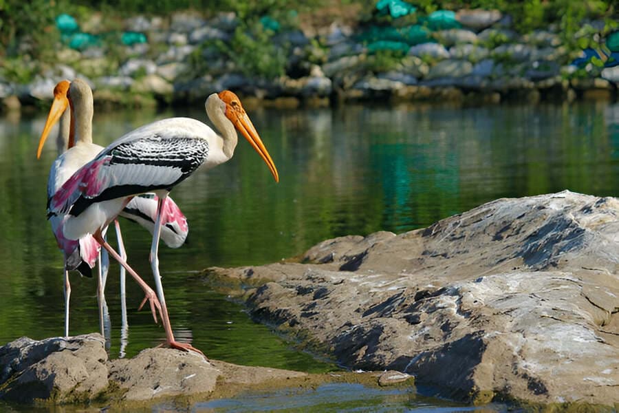 National Parks in Lakshadweep