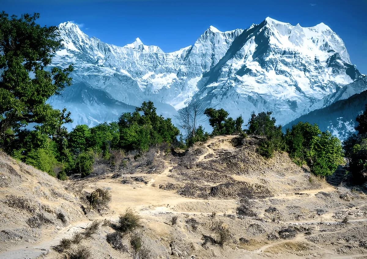 Chaukhamba
