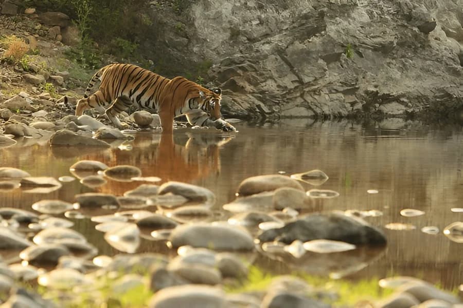 Himalayan National Park