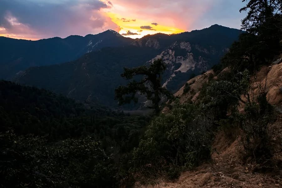 Explore Kedarnath Wildlife Sanctuary