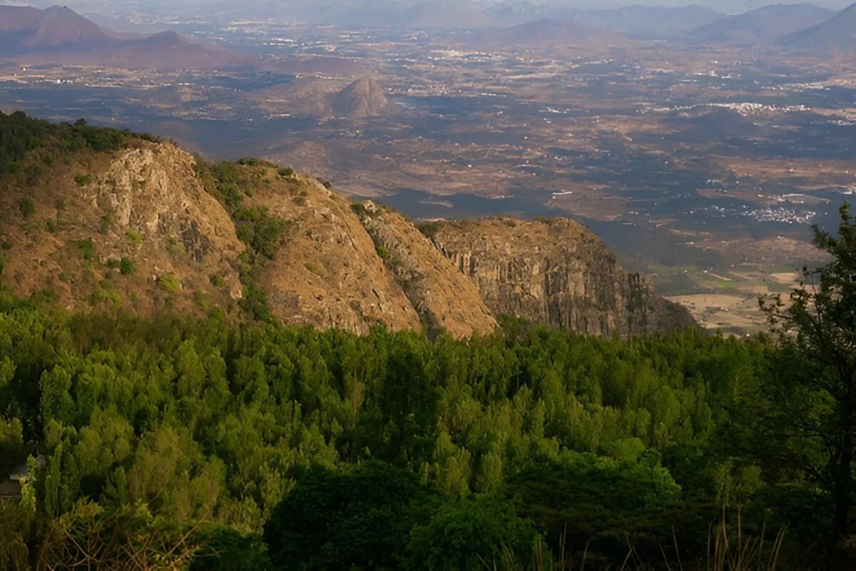 Blog image
