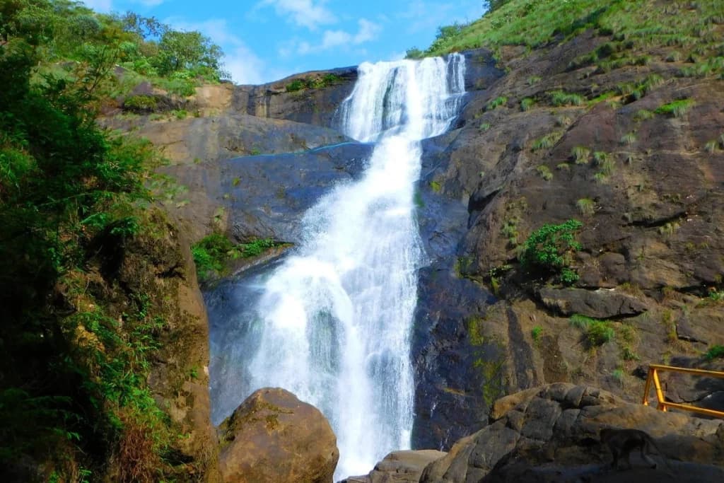 Palaruvi Waterfalls