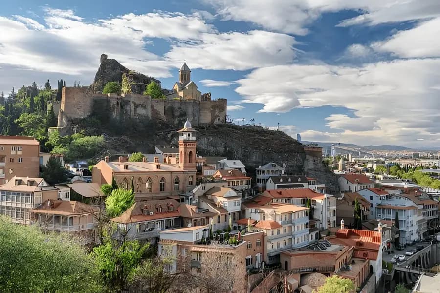 Places to Visit in South Georgia