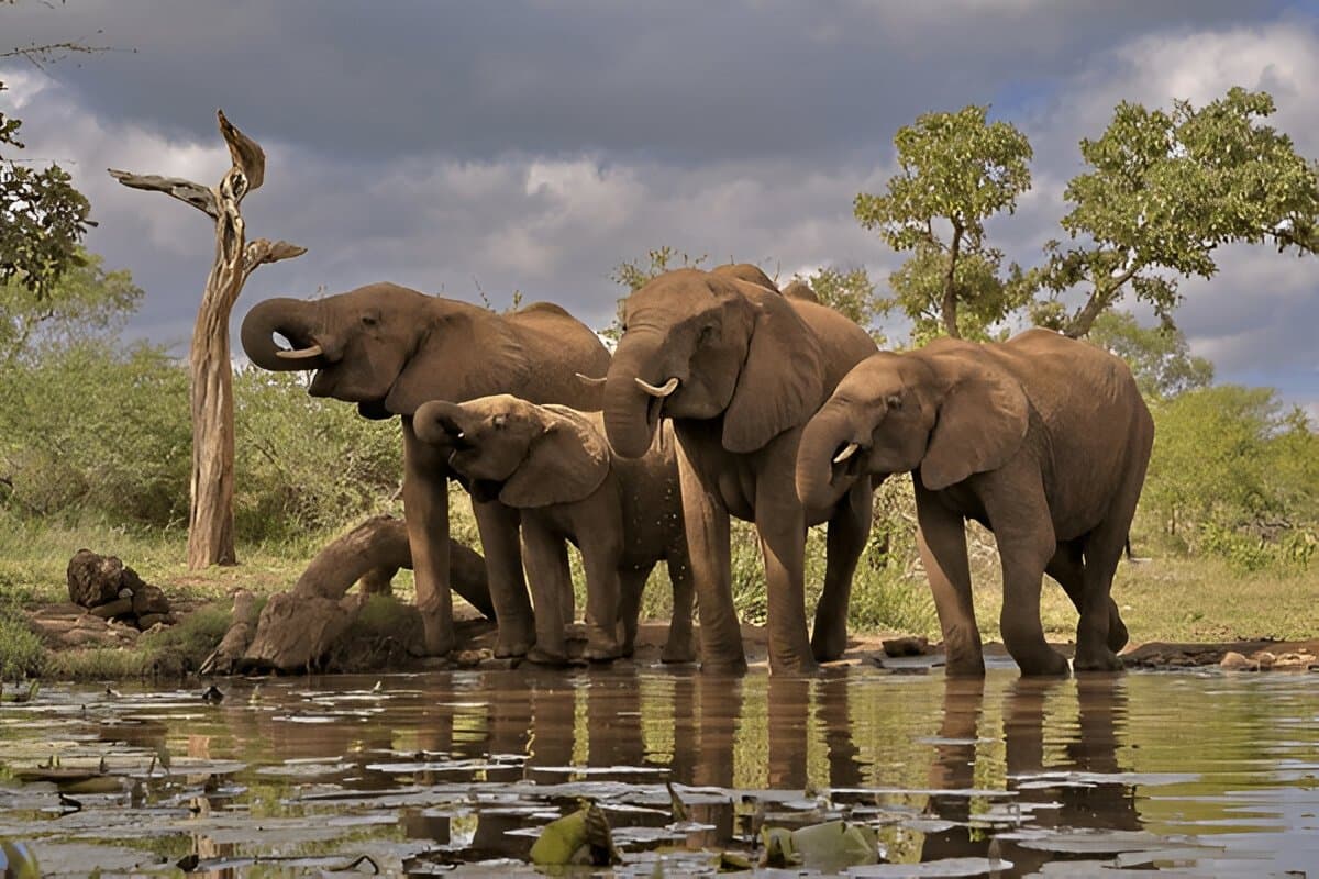 South Africa