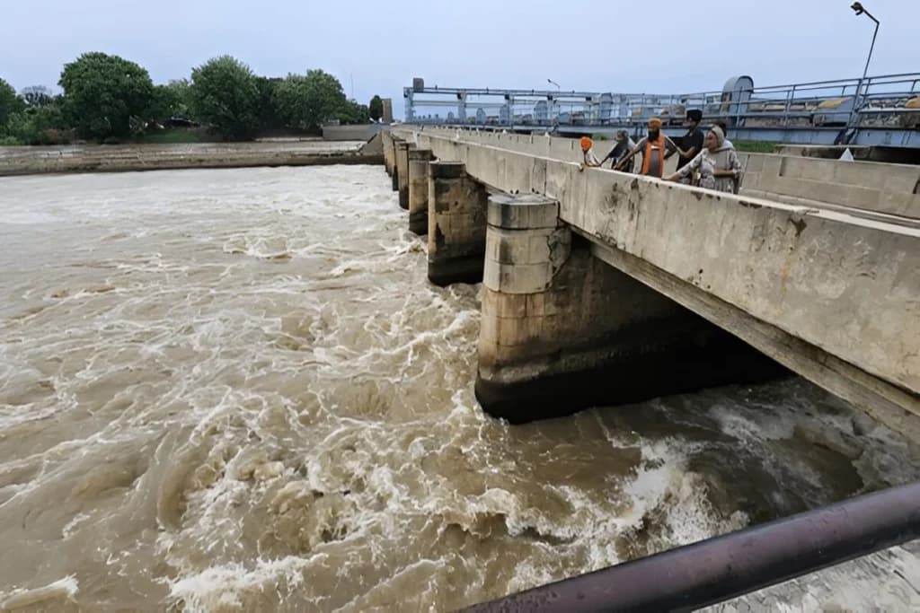 Beas River