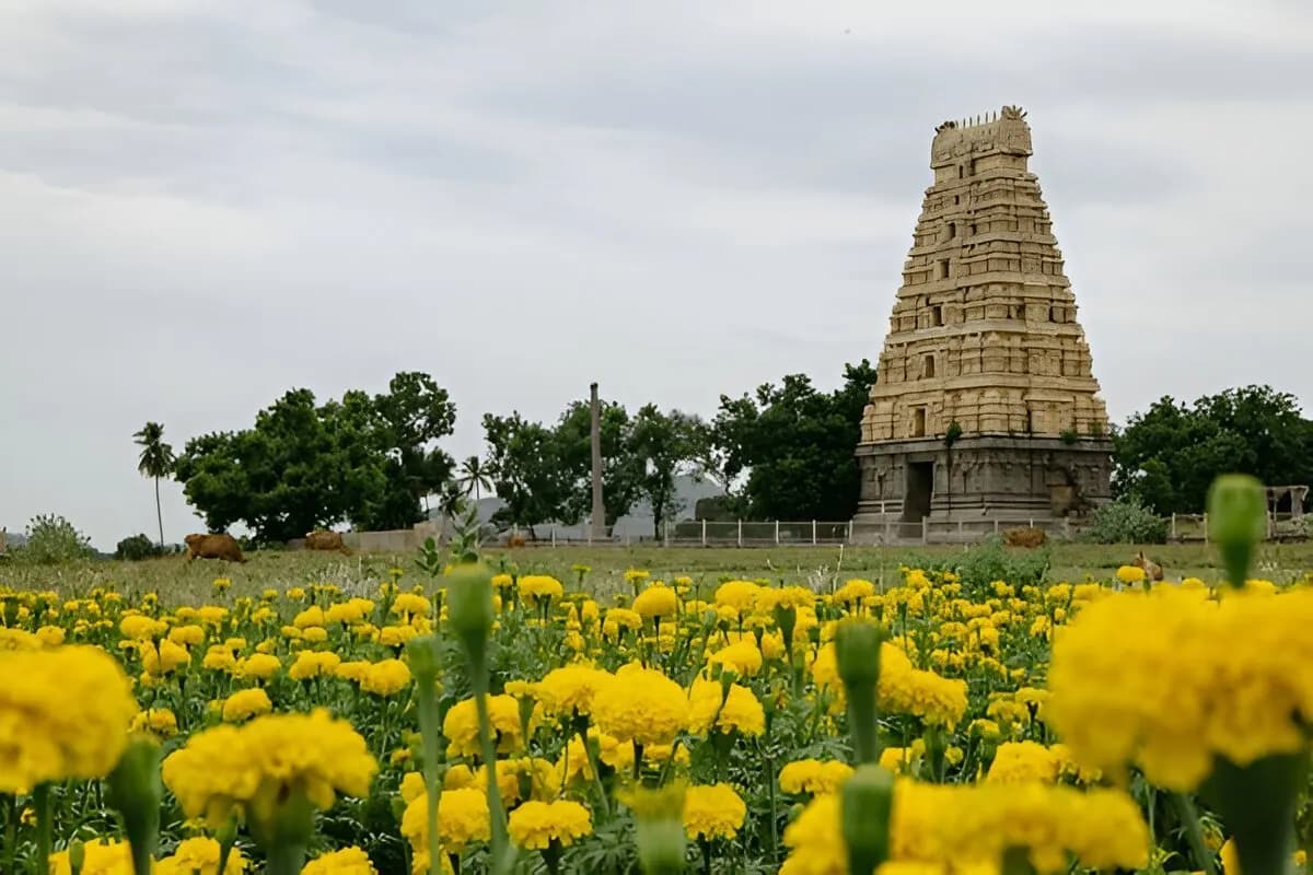 Gingee, Tamil Nadu