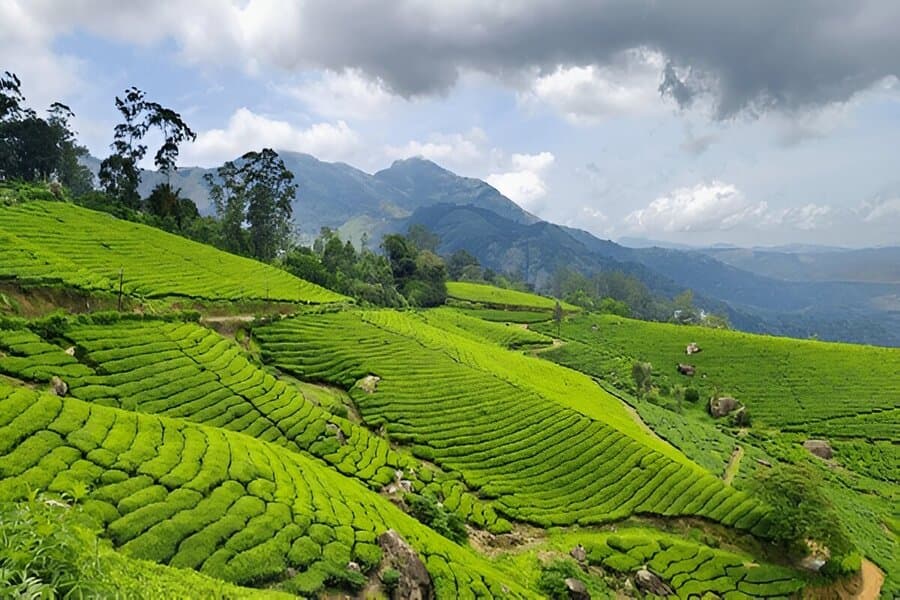 Idukki