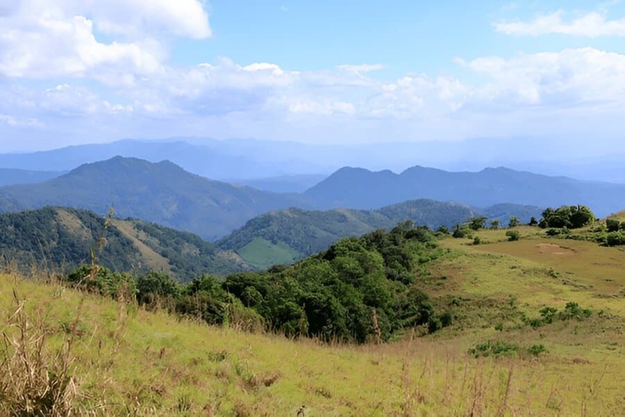 Paithalmala