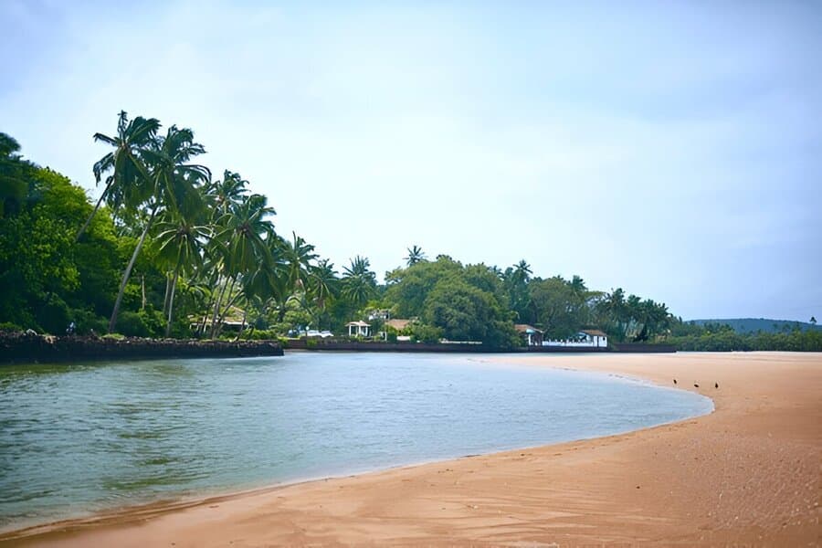 Change block type or style

Move Heading block from position 25 up to position 24
Move Heading block from position 25 down to position 26
Change alignment

Change text alignment




Displays more block tools

Best Beaches in South Goa
In this blog post, we’ll explore the best beaches in South Goa. The southern part of Goa is great for beach lovers who want to enjoy peace. Unlike North Goa’s party scene, South Goa has calmer and cleaner beaches with golden sand and clear blue waters. The area is perfect for families, couples, and solo travelers looking for a relaxing vacation.

The best beaches in South Goa are famous for their natural beauty and less crowded atmosphere. These beaches stretch along the coastline and offer peace among the Goa’s party scene. 

The beaches here are wider, cleaner, and more peaceful compared to other coastal areas. Palm trees line the shores, creating natural shade for visitors. A honeymoon, family trip, or solo adventure, South Goa’s beaches will not disappoint you. And that’s why travelers choose Goa tour packages that focus on South Goa because of its serene environment. The region offers both budget-friendly and luxury accommodations, making it suitable for all types of travelers.

12 Best Beaches in South Goa
1. Palolem Beach
Palolem Beach
Palolem is often called the crown jewel among best beaches in South Goa. This crescent-shaped paradise boasts coconut palms swaying gently in the breeze. The beach buzzes with a bohemian energy, featuring colorful beach huts and shacks serving fresh seafood that melts in your mouth.

Location: Palolem is located in Canacona, South Goa, about 2 kilometers from Chaudi town.
Famous for: Dolphin spotting tours, silent disco parties, and yoga sessions.
2. Agonda Beach
Agonda Beach
Agonda Beach is one of the most famous beaches in South Goa. This 3-kilometer stretch of soft white sand remains blissfully uncrowded. Gentle waves kiss the shore while you soak up the sun in complete tranquility. It’s the perfect escape for travelers seeking peace away from the hustle and bustle.

Location: Agonda is situated in Canacona taluka, about 10 kilometers from Palolem Beach.
Famous for: One of the most peaceful beaches in Goa. It's also a nesting site for Olive Ridley sea turtles.
3. Colva Beach
Colva Beach
Colva Beach is the heartbeat of South Goa's beach scene. Stretching endlessly for 25 kilometers, this lively beach welcomes everyone with open arms. From sunrise to sunset, the beach stays alive with activities, food stalls, and the cheerful chatter of both locals and tourists enjoying their day.

Location: Colva is located in Salcete taluka, about 6 kilometers from Margao city.
Famous for: Colva is famous for its vibrant nightlife, water sports, and the annual Feast of Menino Jesus festival.
4. Benaulim Beach
Benaulim Beach
Benaulim Beach is among the historic and best beaches in South Goa as it tells the story of old Goa through its charming fishing village atmosphere. Traditional boats dot the shoreline while fishermen cast their nets at dawn. The best time to visit Goa is from October to March, when Benaulim transforms into a photographer's dream with perfect lighting.

Location:  Salcete taluka, about 2 kilometers from Colva Beach.
Famous for: Benaulim is famous for its traditional fishing activities and beautiful sunrise views.
5. Varca Beach
Varca Beach
Varca Beach whispers luxury in every grain of its pristine white sand. This sophisticated coastline attracts travelers who appreciate the finer things in life. World-class resorts line the beach, offering five-star comfort while keeping you connected to nature's raw beauty and the soothing sound of waves.

Location: Varca is located in Salcete taluka, about 10 kilometers from Margao.
Famous for: Varca is famous for its luxury resorts, water sports, and dolphin watching tours.