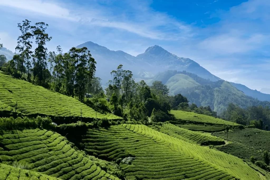 Munnar