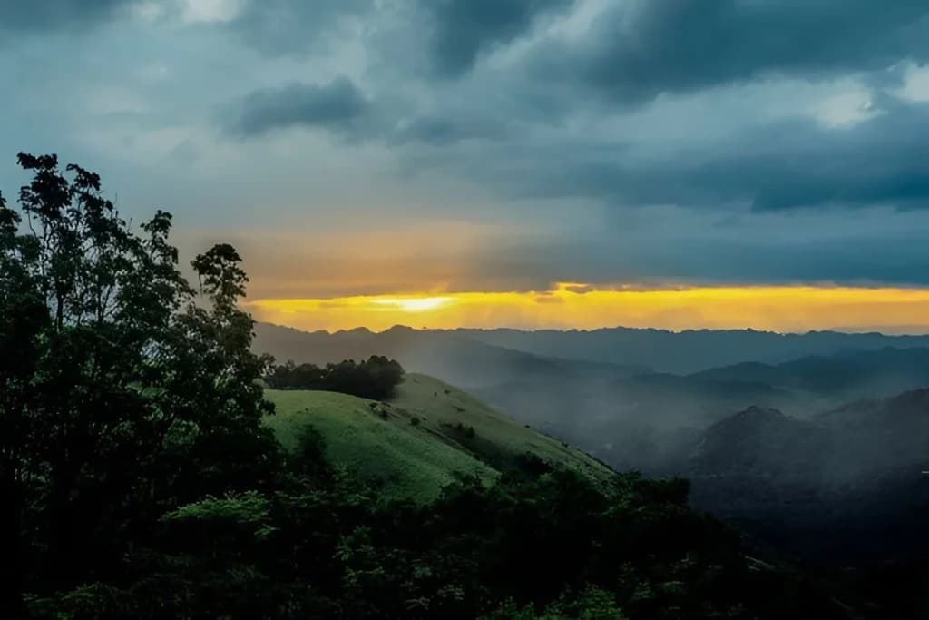 Wayanad