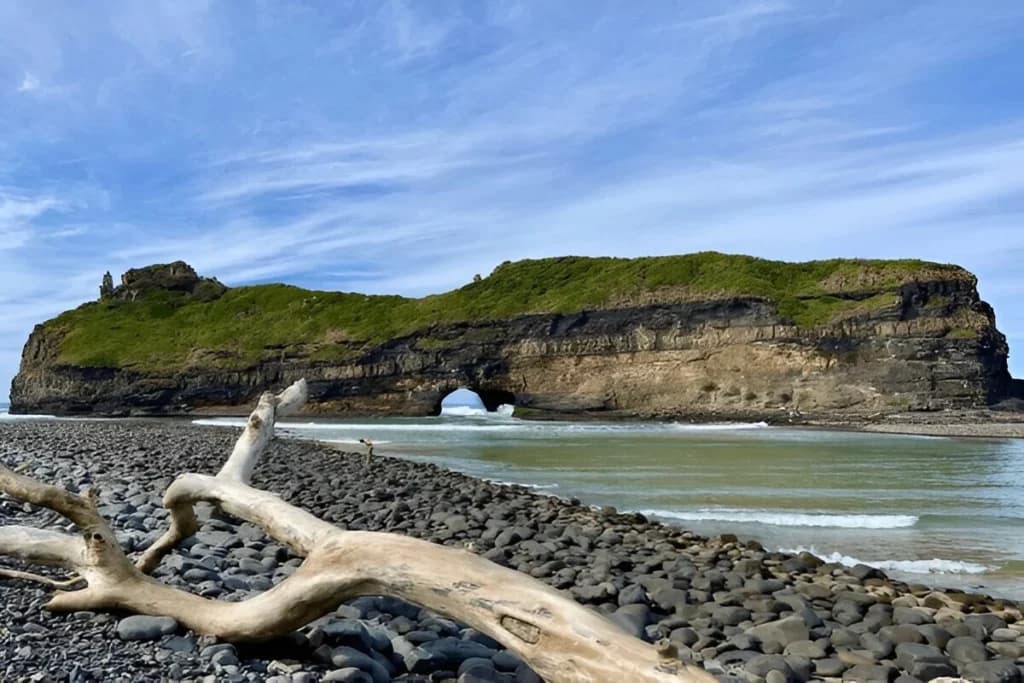 Wild Coast