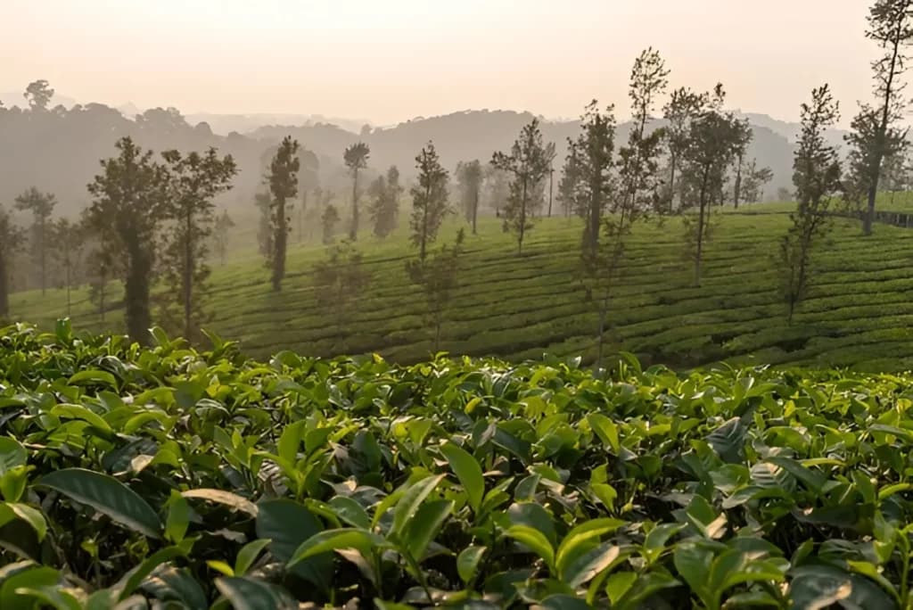 Tourist Places in Karnataka for 3 days