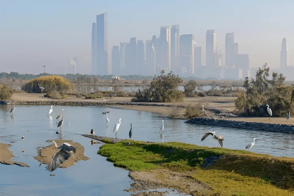 Ras Al Khor Wildlife Sanctuary