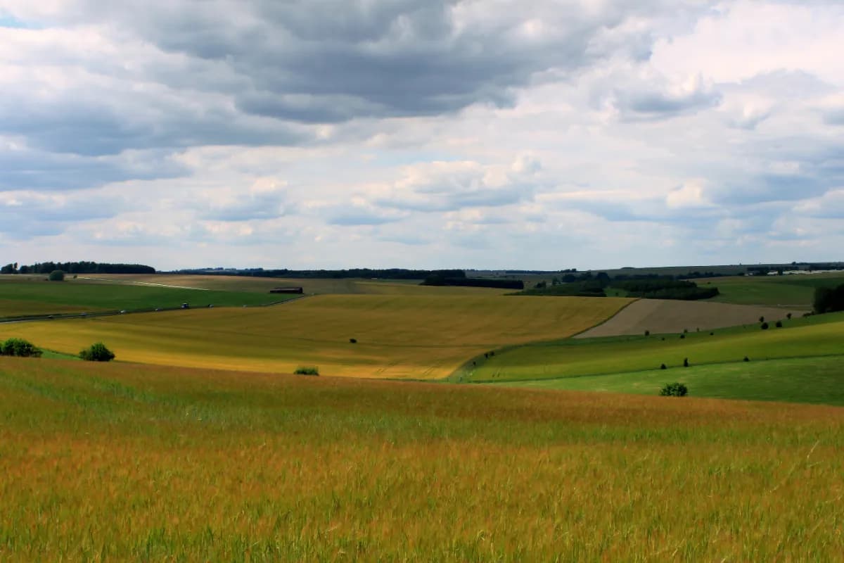 Salisbury Plain